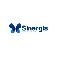 Sinergis Digital logo - Similar company to Sinergis