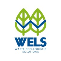 Wels Paraguay logo - Similar company to Metrix Consulting