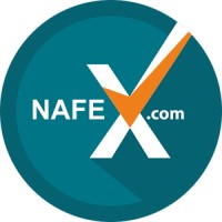 Nafex.com logo - Similar company to Bulls Eye Media India