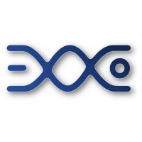 Exxo Techs