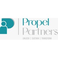 Propel Partners logo - Similar company to Droga Pharma Pvt.Ltd.Co