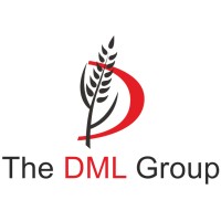 The DML Group logo - Similar company to Impex