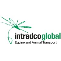 Intradco Global logo - Similar company to Busnex