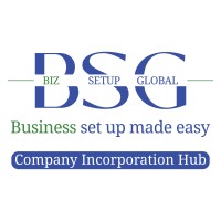 Biz Setup Global logo - Similar company to Abhishek Constructions - A Unit Of Dhanuka Group