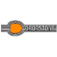 DROPSTONE sàrl logo - Similar company to Rockdataworks