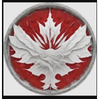 Value Visa Inc.