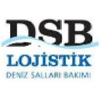 DSB Lojistik Ltd logo - Similar company to Roro Lojistik