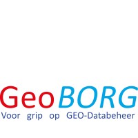 GeoBORG logo - Similar company to Oerei