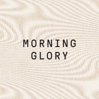 Morning Glory logo - Similar company to Cp Codes(Copyproof.Ai)