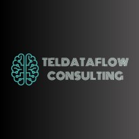 TELDATAFLOW logo - Similar company to Teldata Srl