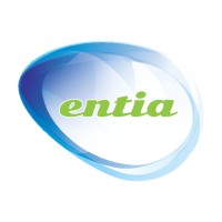 Entia IT logo - Similar company to Ellinor Design Oy Ab