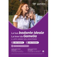 GAMELIA ASSISTENZA BUSTO ARSIZIO logo - Similar company to Comune Di Gerenzano