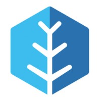RevAlbania logo - Similar company to Cheaperteam