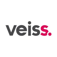 Diseño Web Veiss Comunicación logo - Similar company to Panoramic
