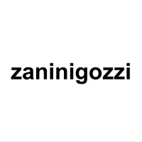 Zanini Gozzi Sagl logo - Similar company to Andreotti & Partners
