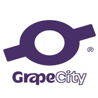 GrapeCity Myanmar logo - Similar company to Comquas