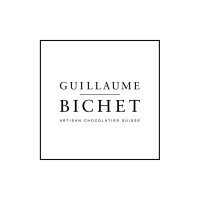 Guillaume Bichet logo - Similar company to Xavier Brignon