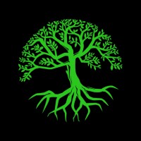 Rustic Solutions LLC logo - Similar company to Holsenback Service