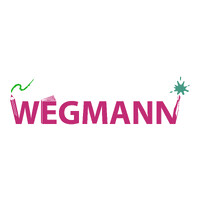 Metz Wegmann GmbH logo - Similar company to Advanced Additive