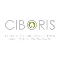 Ciboris logo - Similar company to Aucxis E-Trade Systems