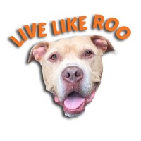 Live Like Roo Foundation logo - Similar company to Enjoy Your Dog
