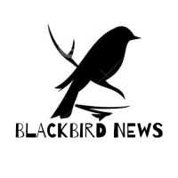 Blackbird News logo - Similar company to About Insider