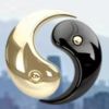 Cpa Global- Accounting Firm Mexico