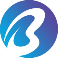 BAIYUAN TECHNOLOYG CO.,Ttd logo - Similar company to Shanghai Sapphire Electronics Co., Ltd.
