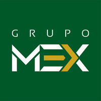 Grupo Mex logo - Similar company to Xnex