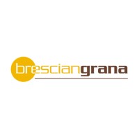Bresciangrana Srl logo - Similar company to Noverse Foundation