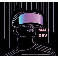 Mali Développeur logo - Similar company to Netdesigns
