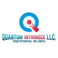 QUANTUM INTRINSIX logo - Similar company to Duit