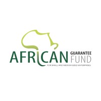 African Guarantee Fund logo - Similar company to Oapi