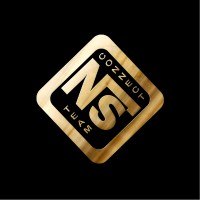 Ns Team Connect logo - Similar company to Prodermpath® - Labor Für Dermatohistopathologie