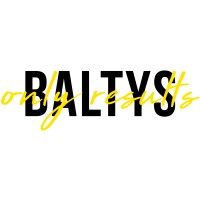Baltys Software GmbH logo - Similar company to Zapp Elearning Gmbh