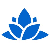 RadhaVision Infotech logo - Similar company to D-Tech Infotech
