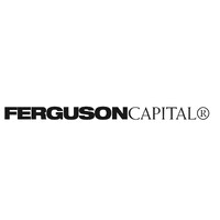 Ferguson Capital logo - Similar company to Angelim Group