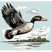Mallard Capital Group LLC logo - Similar company to The Quantus Group, Llc