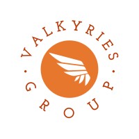 Valkyries Group logo - Similar company to Fd Foreign Trade