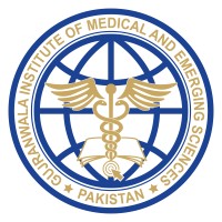 Gujranwala Institute of Medical & Emerging Sciences (GIMES) logo - Similar company to One Winsome