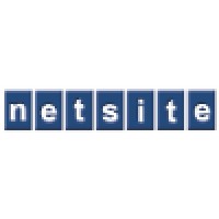 Netsite Iletisim logo - Similar company to Netsite