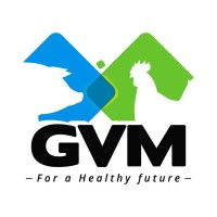 GVM CORPORATION SAS logo - Similar company to Norgtech S.A.