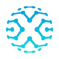 Blue-X Ventures logo - Similar company to Terem