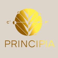 Cervecería Principia logo - Similar company to Fetaladn