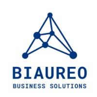 Biaureo Consulting logo - Similar company to Leibent