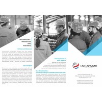 Tantamount Resources logo - Similar company to Green Cherrie  | Creative Ad Agency In Uae