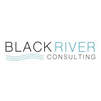 Black River Consulting Partnership logo - Similar company to Black Reiver Consulting