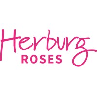 Herburg Roses logo - Similar company to Flying Swans
