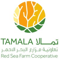 Tamala-تمالا logo - Similar company to Lets Pizza Saudi Arabia