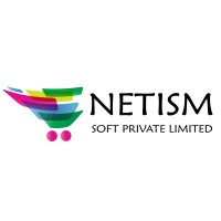 Netism Soft Private Limited logo - Similar company to Endorphins Technology & Consultancy Pvt. Ltd.